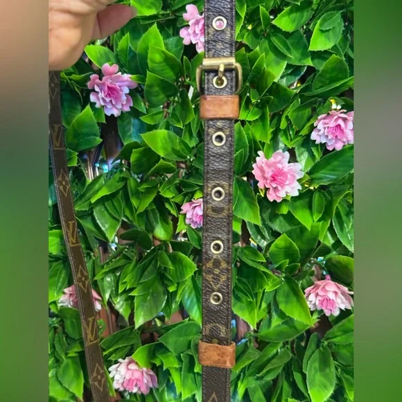 Louis Vuitton Danube Monogram Crossbody Bag
